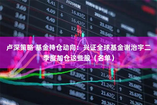 卢深策略 基金持仓动向：兴证全球基金谢治宇二季度加仓这些股（名单）